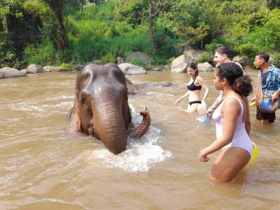 Paola and friends | Chiang Mai Trekking | Le meilleur trekking à Chiang Mai avec Piroon Nantaya